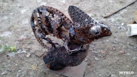 Железный хамелеон тульского умельца, Фото: 7