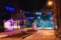 Тульские парки украсили к Новому году, Фото: 19