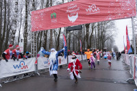 Забег Дедов Морозов в Туле, Фото: 14