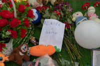 В Туле прошла Акция памяти и скорби по жертвам теракта в Подмосковье, Фото: 32