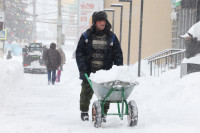 Тула в снежном плену: фоторепортаж с улиц города, Фото: 2
