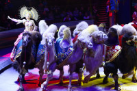 Грандиозное цирковое шоу «Песчаная сказка» впервые в Туле!, Фото: 49