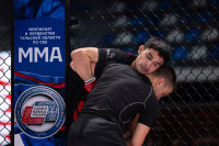 В «Тула-Арене» состоялись областные соревнования по ММА, Фото: 148