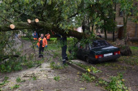 На автомобиль упало дерево, Фото: 8