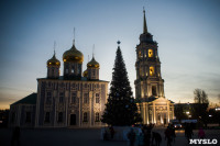 В Тульском кремле открылась новогодняя елка, Фото: 59
