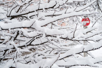 Снегопад в Туле 11 января, Фото: 9