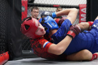 В Новомосковске прошел Чемпионат и Первенство Тульской области по ММА, Фото: 233