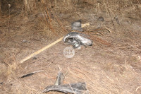 В жутком ДТП в поселке Рассвет погиб пассажир Audi A6, Фото: 21
