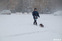 Снежная Тула. 15 ноября 2015, Фото: 4