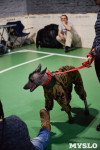 Выставка собак в Туле , Фото: 104