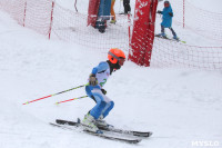 Соревнования по горнолыжному спорту в Малахово, Фото: 85