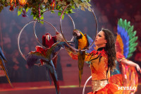 Цирковое шоу Жар птица, Фото: 70