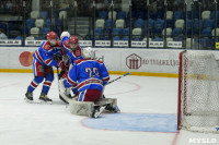 В Туле состоялось торжественное закрытие Чемпионата Тульской любительской хоккейной лиги, Фото: 35