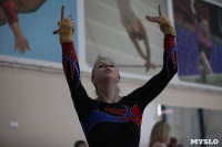 Соревнования по спортивной гимнастике на призы Заслуженных мастеров спорта , Фото: 26
