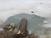 Химическая пена и ядовитый запах: в реку под Новомосковском сливают неизвестные отходы, Фото: 3