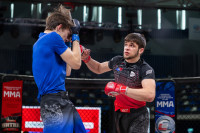 В «Тула-Арене» состоялись областные соревнования по ММА, Фото: 16
