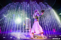 Шоу фонтанов «13 месяцев»: успей увидеть уникальную программу в Тульском цирке, Фото: 269