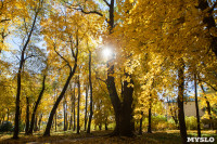 Золотая осень в Ясной Поляне, Фото: 40