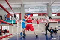 В Тульской области проходит областное первенство по боксу, Фото: 86