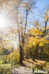 Золотая осень в Ясной Поляне, Фото: 24