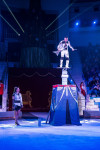 "Чудеса под Новый год" в Тульском цирке, Фото: 78