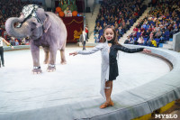 Шоу слонов в Тульском цирке, Фото: 70
