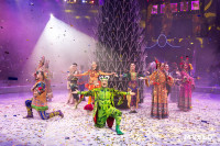 Цирковое шоу Жар птица, Фото: 148