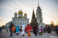 В Тульском кремле открылась новогодняя елка, Фото: 14