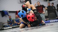 В Новомосковске прошел Чемпионат и Первенство Тульской области по ММА, Фото: 217