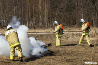 В Туле провели тренировку по тушению ландшафтного пожара, Фото: 80