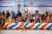 Открытый кубок региона по художественной гимнастике, Фото: 46