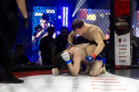 Битва за Тулу-2026, Фото: 74