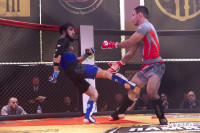 Турнир по ММА памяти Алексея Калинина собрал лучших бойцов страны: фоторепортаж, Фото: 65