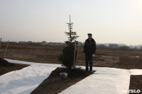 Возле мемориала «Защитникам неба Отечества» высадили еловую аллею , Фото: 11