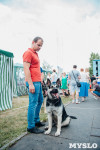 Всероссийская выставка собак в Туле, Фото: 39