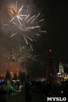 Открытие главной ёлки на площади Ленина, Фото: 43