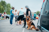 Всероссийская выставка собак в Туле, Фото: 113