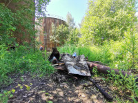 В Пролетарском районе Тулы ликвидируют разлив мазута, Фото: 11