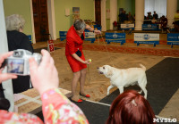 Выставки собак в ДК "Косогорец", Фото: 34