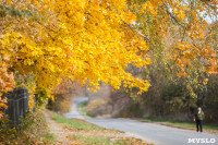 Золотая осень в Ясной Поляне, Фото: 72
