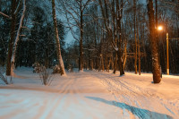 Вечерний снегопад, Фото: 18