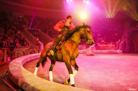 Шоу Гии Эрадзе «5 континентов» в Тульском цирке: феерия уже началась!, Фото: 94