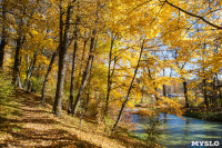 Золотая осень в Ясной Поляне, Фото: 11
