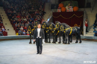 Шоу слонов в Тульском цирке, Фото: 20