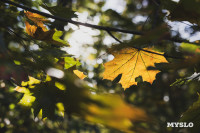 Всехсвятское кладбище, Фото: 89