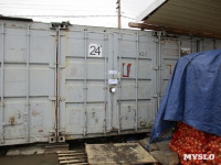В Туле обнаружили почти 3 тонны санкционных овощей и фруктов, Фото: 3
