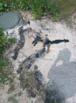 захороненные в Комарках нефтепродукты снова вышли на поверхность, Фото: 4