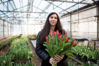 Как выращивают тюльпаны, Фото: 30