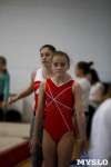 Спортивная гимнастика в Туле 3.12, Фото: 148
