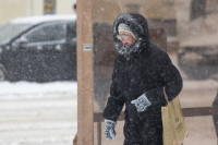 Снежный апокалипсис в Туле: фоторепортаж с улиц города, Фото: 13